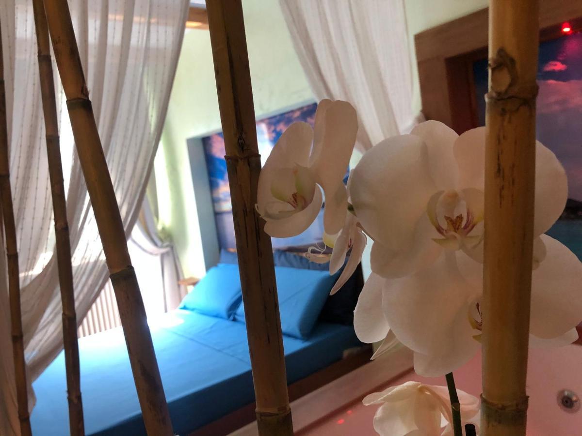 Dream & Relax Villa Fiore Bari Eksteriør billede